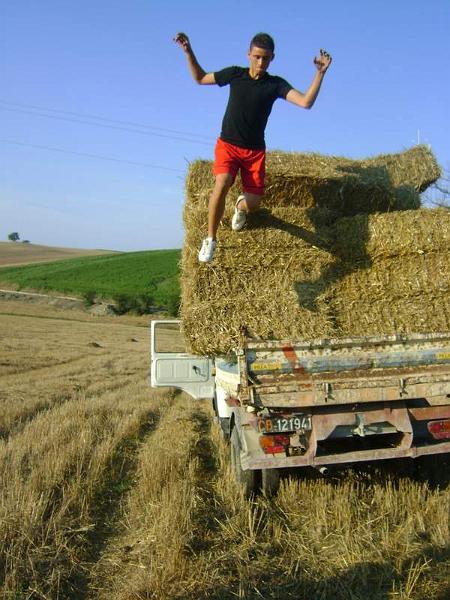 Preparazione campo (13B).JPG